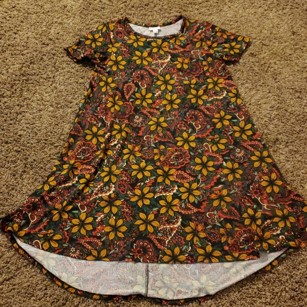 ⭐SALE⭐ Lularoe Carly Floral and Paisley